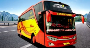 Kriteria Jasa Sewa Bus Lombok yang Terpercaya