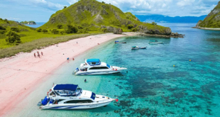 One Day Komodo Island Trip Rekomendasi Destinasi Wisata yang Bisa Sobat Jelajahi dalam Sehari